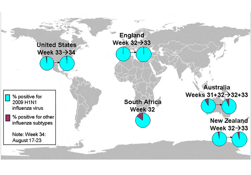 World Map Showing Flu Strain Distribution Week 34