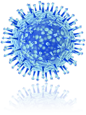 Influenza Is A Hearty Virus - Can Survive Up To 48 Hours!