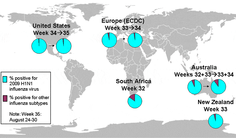 Map Of Subtypes As You Can See, The New Novel H1N1 Is Totally Pushing Out The Other Circulating Influenza Viruses! Totally!