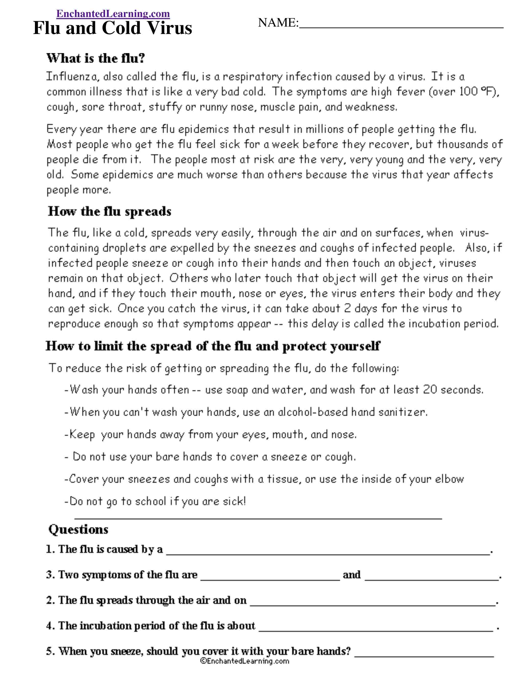 Flu and Cold Virus Read and Answer Worksheet - EnchantedLearning Flu and Cold Teaching Tool