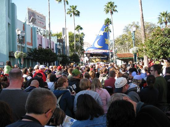 Crowds-At-Disney-Hollywood Crowds-At-Disney-Hollywood