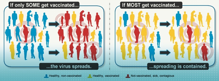 Vaccine No Vaccine