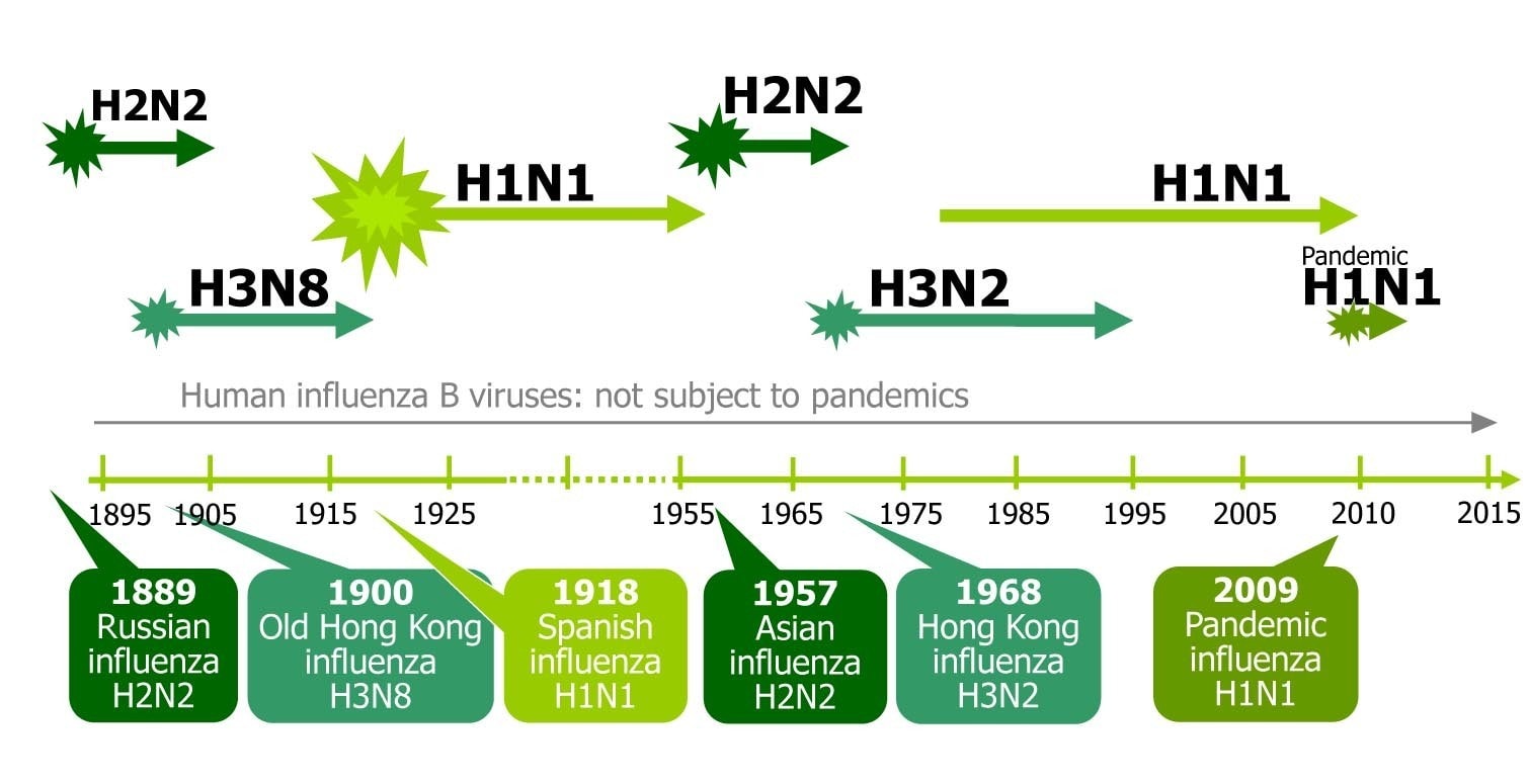 Pandemic Graph