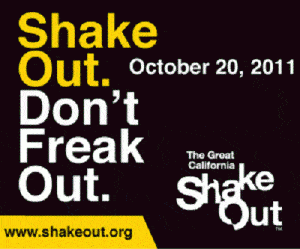 Shakeout Dontfreak Yellow 300X250 Sized For Blog
