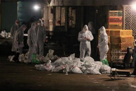 The Shanghai Local Government Reported That The Huhuai Market For Live Birds Had Been Shut Down And 20,536 Birds Had Been Culled After Authorities Detected The H7N9 Virus From Samples Of Pigeons In The Market. All Live Poultry Markets Have Also Been Closed In The City.