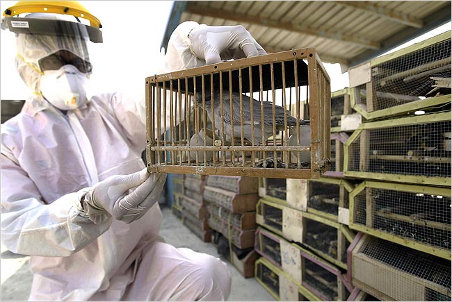 Today China Reported That The H7N9 Bird Flu Virus Has Seriously Sickened Four More People In One Province. The Disease Has Already Caused Two Deaths In Other Provinces.