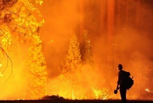 California Wildfire