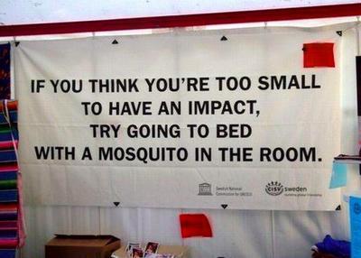 Mosquito In The Bed
