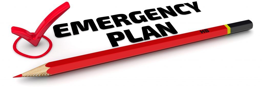 Emergency Plan. The Mark