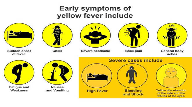 2018 3Large Yellow Fever